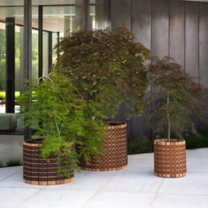 <h1><span>Bac à plante </span>Roda Barrique</h1>