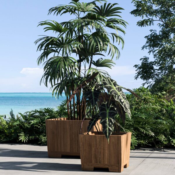 <h1><span>Bac à plante </span>Royal Botania Botaniq</h1>