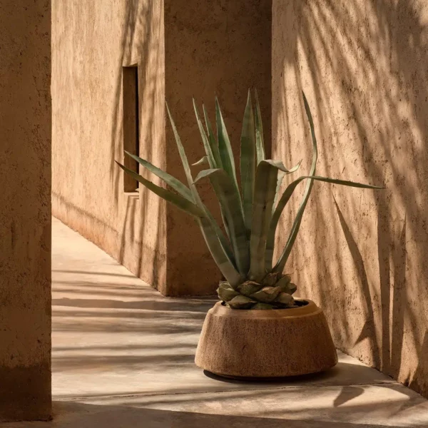 <h1><span>Poterie </span>Domani Nagori</h1>
